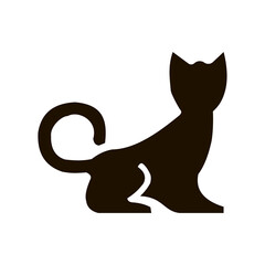 black and white cat