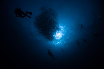 scuba diver in the dark