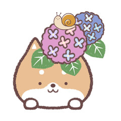 柴犬と紫陽花とカタツムリ