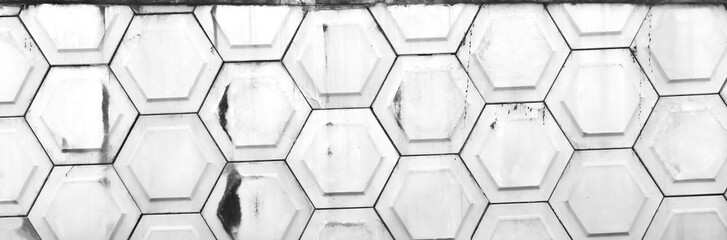 Old concrete wall with seamless hexagon shape pattern white grey dirty background with dried plant...