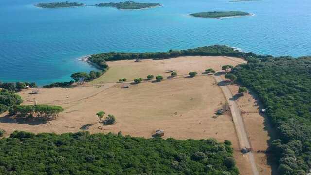 Scenic Coastal Landscape With Thicket Forest At Brijuni National Park, Adriatic Islands, Croatia. - Aerial Wide Shot