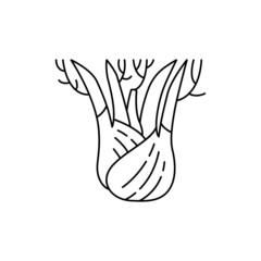 Fennel olor line icon. Essential oils fruit seeds.