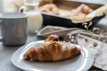 Croissant on the plate, milk jar, cup and other brioches on the backing sheet