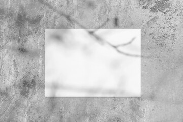 Empty white horizontal rectangle poster or card mockup with soft tree leaves and branches shadows...