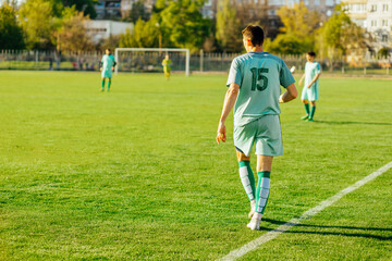 Professional soccer player, soccer player in action at the stadium, hitting the ball to reach the...