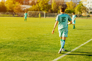 Obraz premium Professional soccer player, soccer player in action at the stadium, hitting the ball to reach the goal, Sport concept, competition
