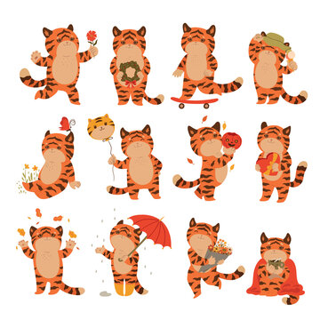 Set of cute tigers isolated on a white background. Vector graphics.