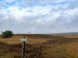 Asselche heide, Gelderland Province, The Netherlands