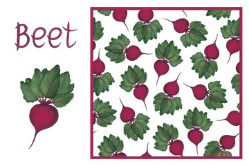 Set - Bright beet root with leaves on a white background and seamless pattern. Fresh vegetables, harvesting.