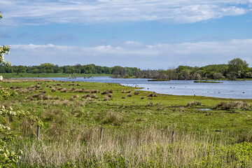 Nature Conservation Area Geltinger Birk at Springtime, Northern Germany