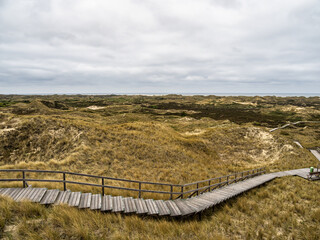 Sand dune landscape overgrown with grass on the island of Amrum, Germany. Siatler or Setzer Dune
