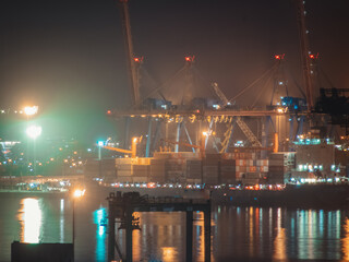Porto de santos © LuisFilipevonARossi