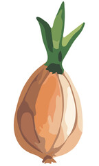 Isolated abstract illustration of an onion on a white background. Ingredient for cooking