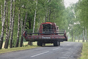 One harvester combine drive on rural asphalt road between the Birch trees in the village at summer...