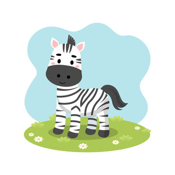 Cute zebra horse in grass. Flat vector cartoon design