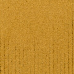 Fototapeta premium brown corrugated cardboard texture background