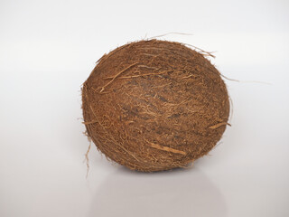 coconut (Cocos nucifera) fruit