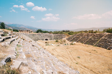 The giant stadium in the ancient city of Aphrodisias. Ancient stadium with 30 thousand seats. Historical buildings in the ancient city of Aydın Karacasu. 
Ruins in the ancient city. Selective focus.