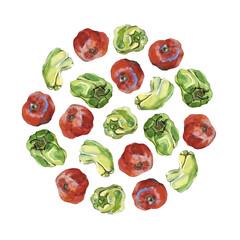 Round arrangement of green peppers and red tomatoes, isolated on white. Watercolour illustration. For recipe, packaging, menu, scrapbooking and stationery design.