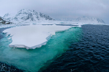 Drift floating Ice, Albert I Land, Arctic, Spitsbergen, Svalbard, Norway, Europe