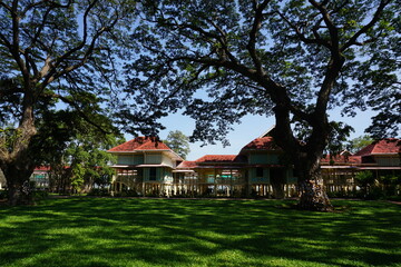 shaded by large trees make it comfortable