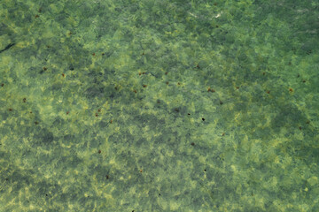 green moss on the rocks