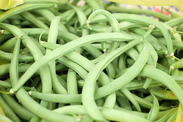 green fresh bean vegetable in a cook's hand, a large amount of fresh beans,