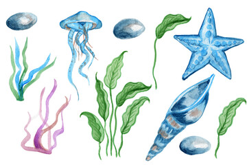 Hand drawn watercolor illustration with sea, underwater life.Calm green algae from the deep sea. Set with hand-painted watercolor elements isolated on white.Nautical elements, sea life, fish, seahorse