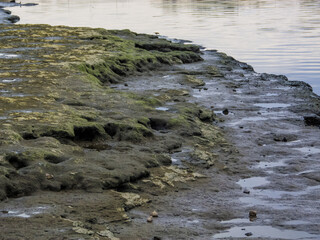 Crab caves in the riverside