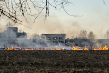 Fototapeta na wymiar Burning old, dry grass field in the spring, Firefighters work.