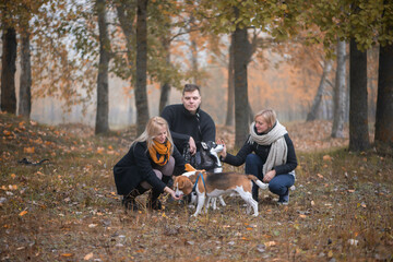 pet owners with siberian husky and beagle dogs have a nice time in the city park on an autumn morning