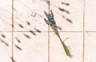 Lavandula Angustifolia bouquet on tiles - English lavender bouquet on floor with beautiful shadow detail