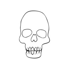 Vintage Mystic line art Skull Illustration. Skull Halloween Design.