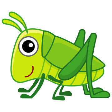 Funny character grasshopper in a cartoon style