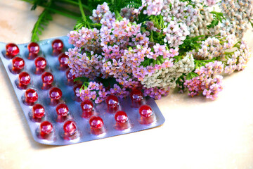 schafgarbe naturheilkunde