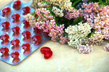 schafgarbe naturheilkunde