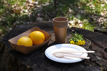 Eco-friendly disposable organic utensil and lemons on the stump. Outdoor picnic. Ecology concept
