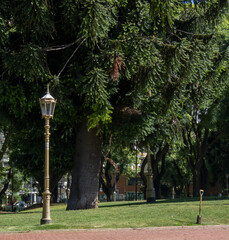 Fototapeta premium Shovel and light in the park