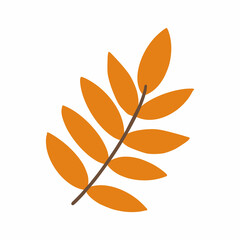 Autumn branch of orange tree. Table in style of doodles. Vector icon.