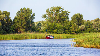 red yacht sailing along the reed river bank