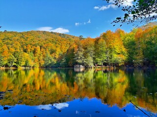 autumn trees reflected in water. Bolu Yedig&ouml;ller/Turkey