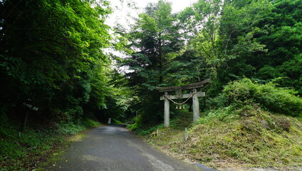 山奥の鳥居
