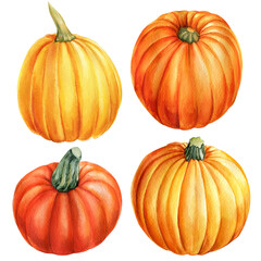 Set of Pumpkins on isolated white background, watercolor illustration