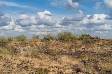 landscape with sky