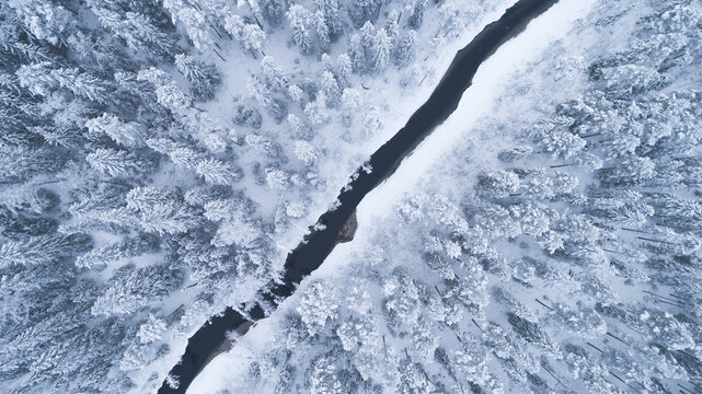 View from the air over the river surrounded by snow-covered trees. Drone photography.