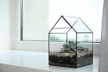 Glass florarium vase with succulent on white windowsill indoors, space for text