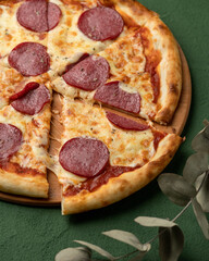 Part of Pepperoni pizza with salami sausage and melted cheese. Close-up shot. Italian Food concept. Soft Focus.
