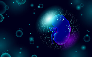Low poly 3D human kidney shield protect. Medicine recovery technology drug medicine concept. Vector illustration