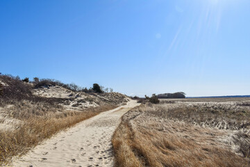 Cape Cod Beach Hiking Landscape
