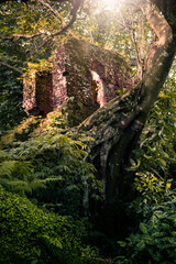 petrópolis cidade imperial caminho do ouro estrada real